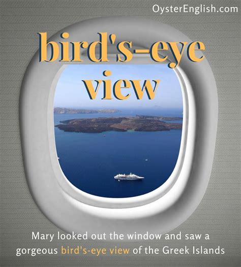 a bird eye view idiom sentence|bird’s eye view meaning, origin, example, sentence, history .